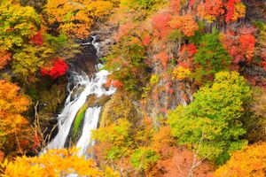 Nikko, Waterfalls and Yumoto Onsen - 4 Days